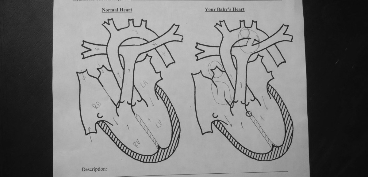 Samuel’s Heart